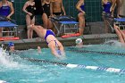 Swimming & Diving vs Babson  Swimming & Diving vs Babson College. - Photo by Keith Nordstrom : Wheaton, Swimming